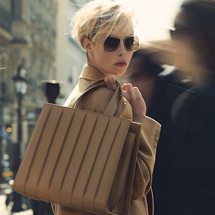 Whitney Bag: 10th Anniversary of the Iconic Bag | Max Mara